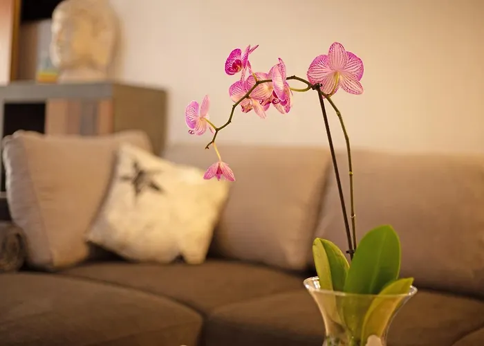 Casa Alexis Casa de Férias *